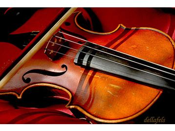Violin Lessons in London zone 1 to 6 