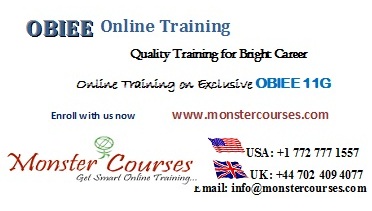 Oracle BI Online Training,OBIEE 11g Training.