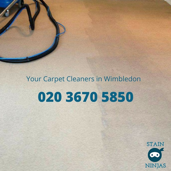Carpet cleaners Wimbledon