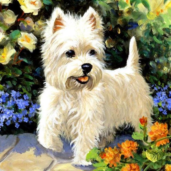 White Puppy- 5D picture size diamond paintings