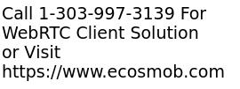 WebRTC Client Solution Development Services