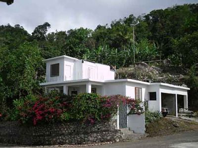 Jamaican Eco Farm, House & Land For Sale