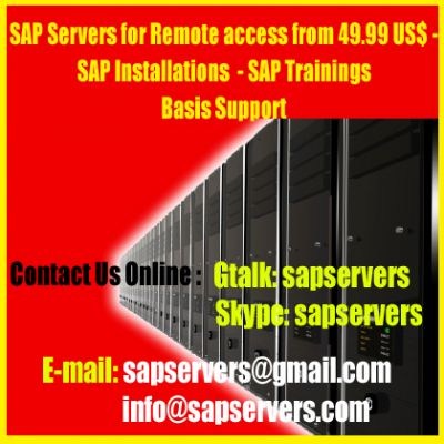 SAP Servers for Remote access from 49.99 US$