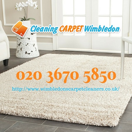 Professional carpet cleaning Wimbledon