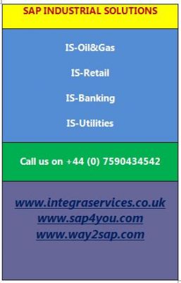 SAP Industrial Solutions Installation and Training 